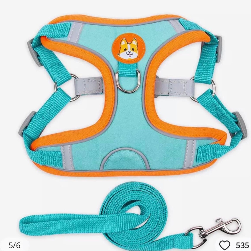 Small to medium dog harnesses with leash